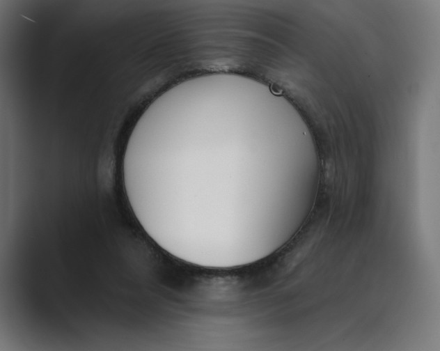 X0000089340304200706291006