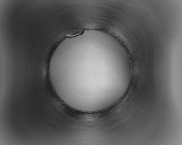 X0000089340305200706291006