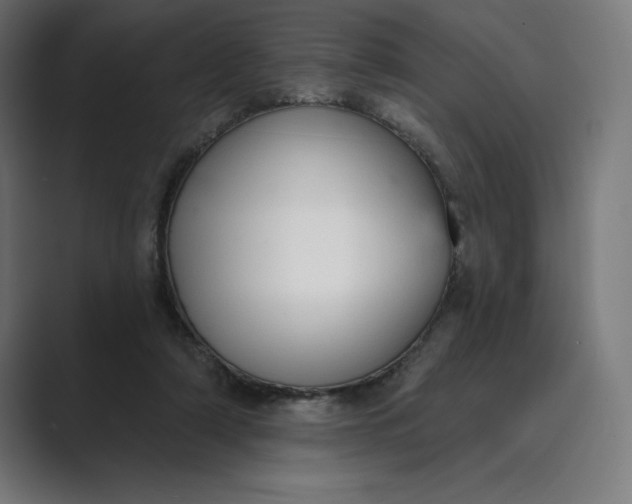X0000089340306200706291006