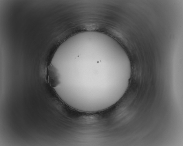 X0000089340307200706291006