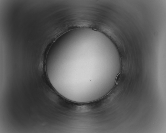 X0000089340309200706291006