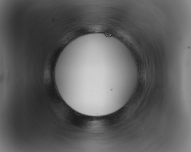 X0000089340312200706291006