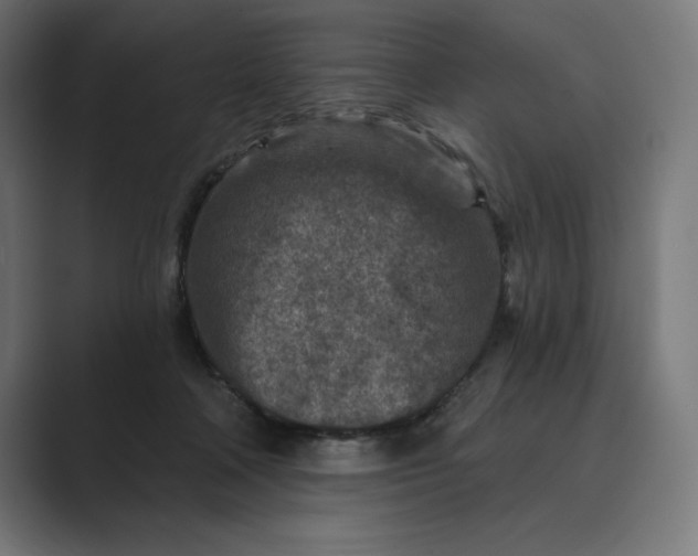 X0000089340314200706291006