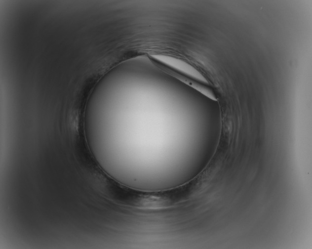 X0000089340315200706291006