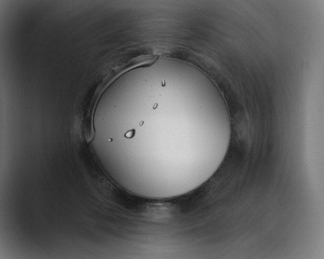 X0000089340316200706291006