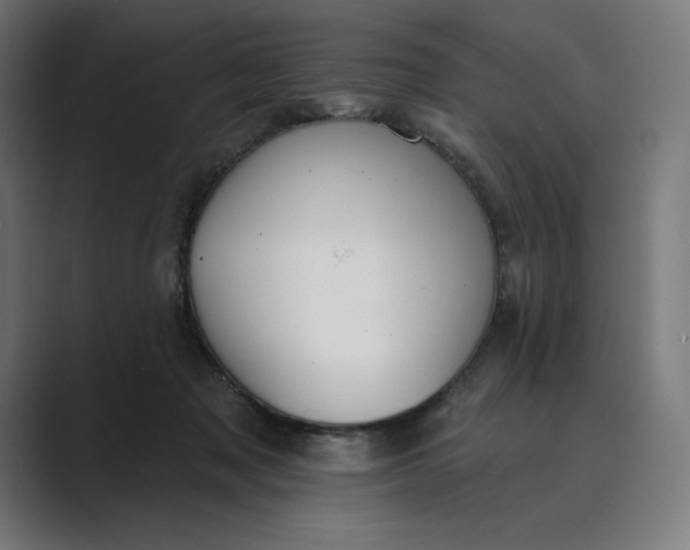 X0000089340317200706291006
