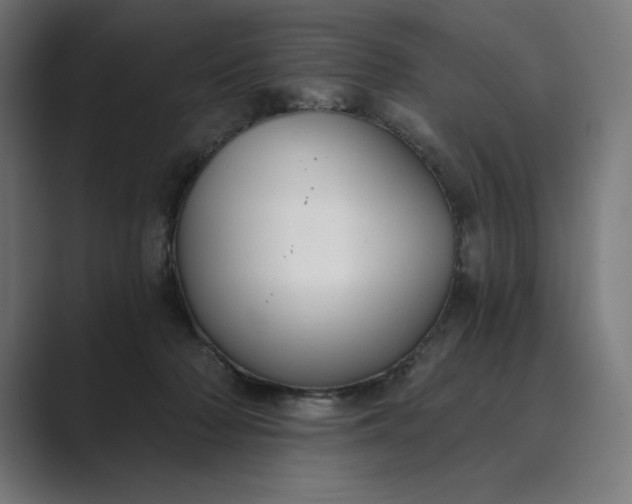 X0000089340318200706291006