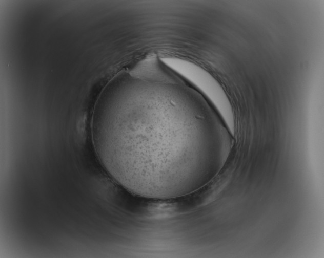 X0000089340319200706291006