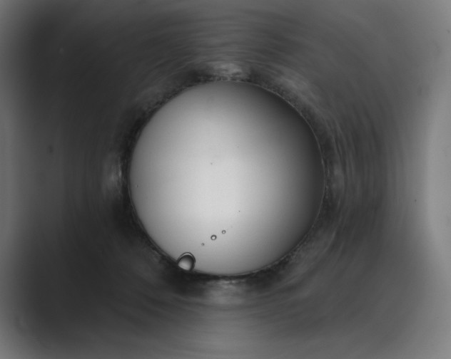 X0000089340320200706291006