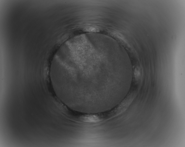 X0000089340322200706291006