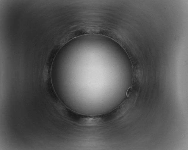 X0000089340323200706291006