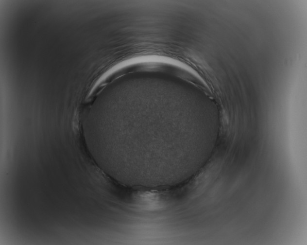 X0000089340325200706291006