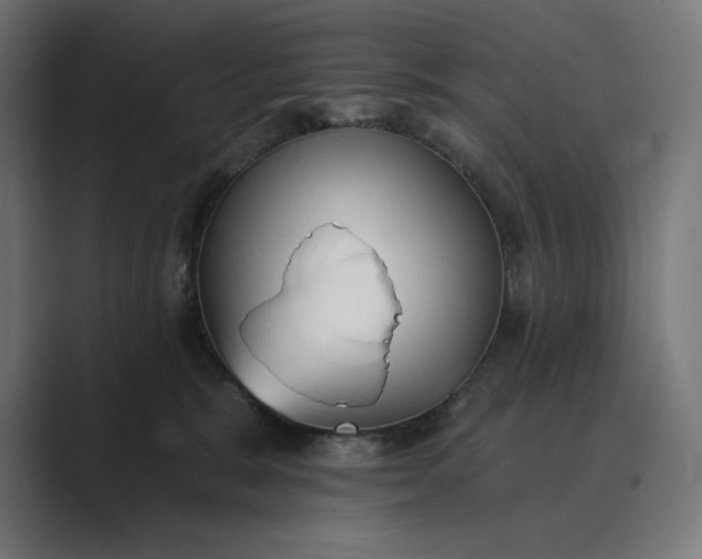 X0000089340327200706291006