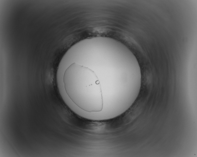 X0000089340328200706291006