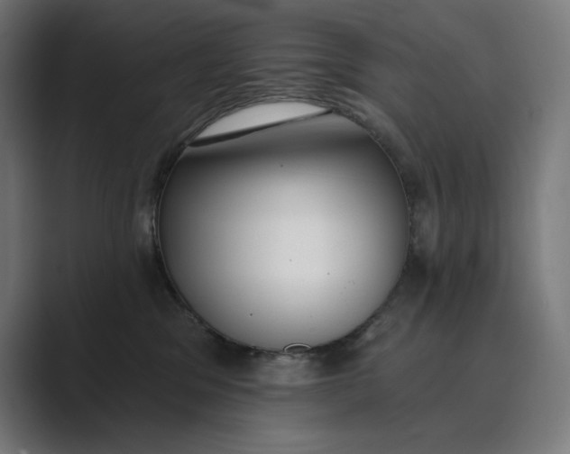 X0000089340329200706291006