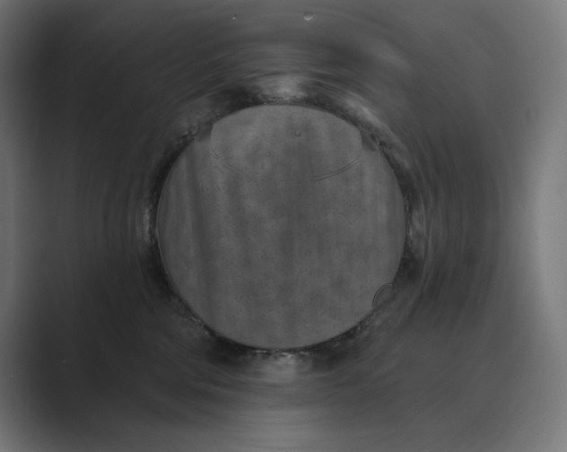X0000089340330200706291006