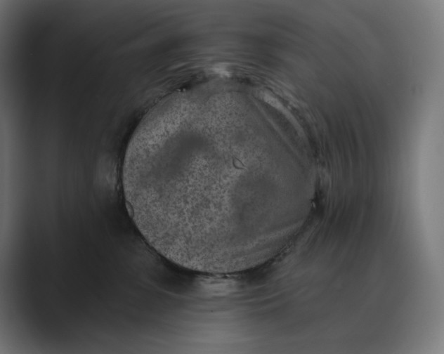 X0000089340331200706291006