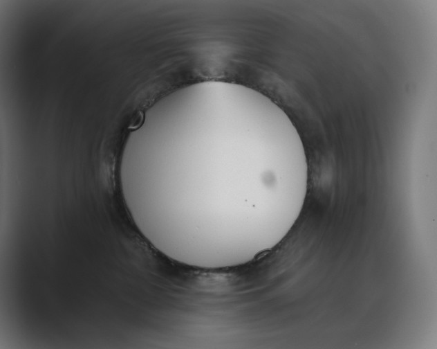 X0000089340332200706291006
