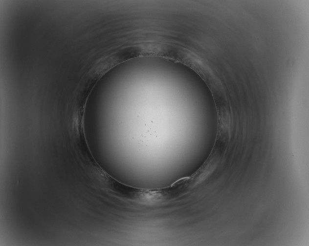 X0000089340333200706291006