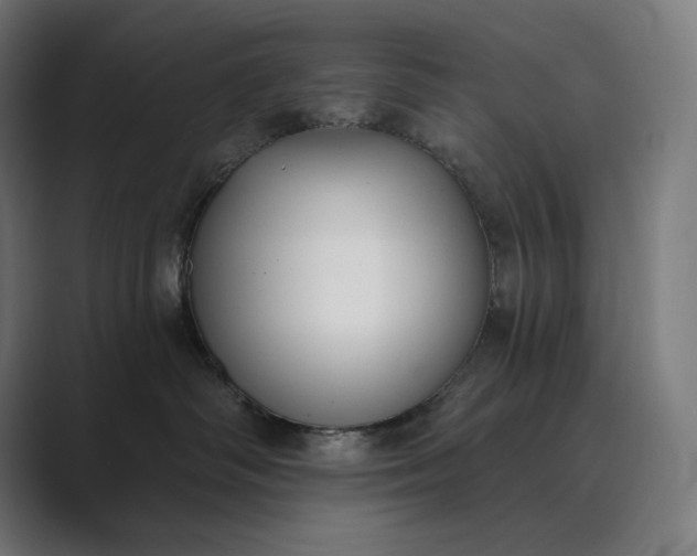 X0000089340334200706291006
