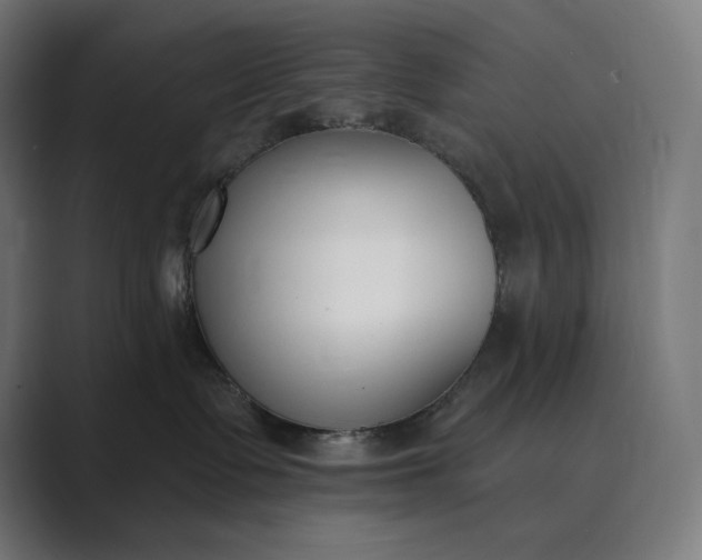 X0000089340335200706291006