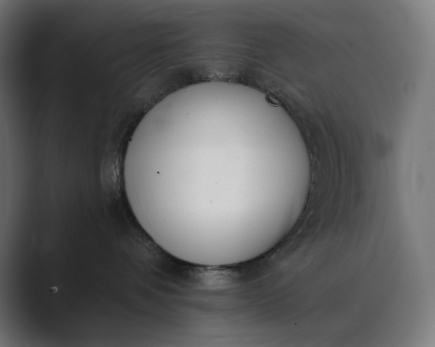 X0000089340336200706291006