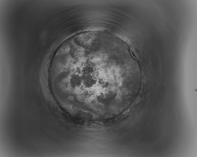 X0000089340337200706291005