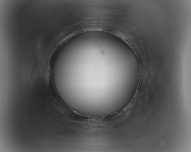 X0000089340338200706291005