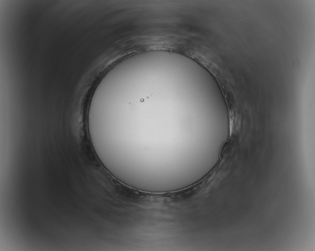 X0000089340339200706291005