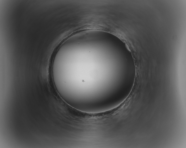 X0000089340340200706291005