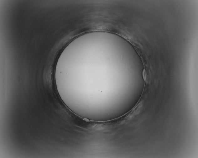 X0000089340341200706291006