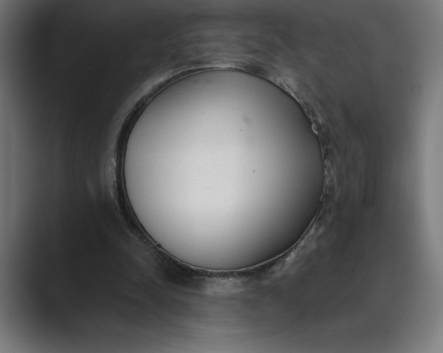 X0000089340342200706291006