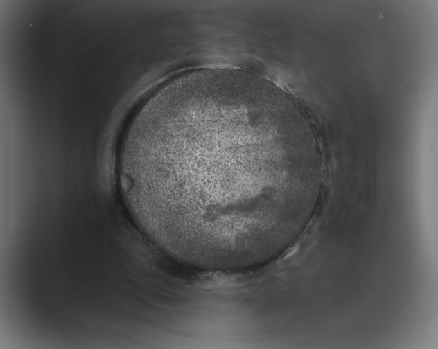 X0000089340343200706291006