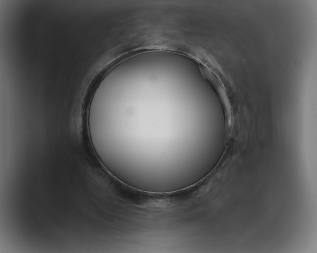 X0000089340344200706291006