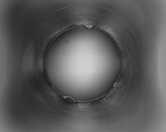 X0000089340345200706291006