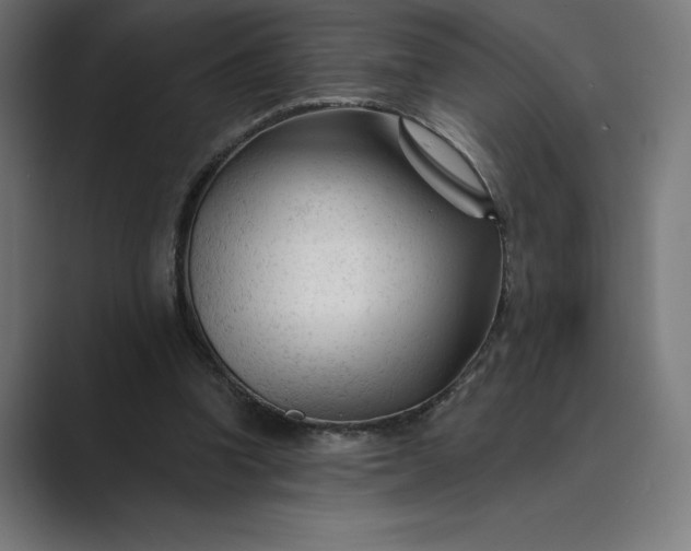X0000089340346200706291006