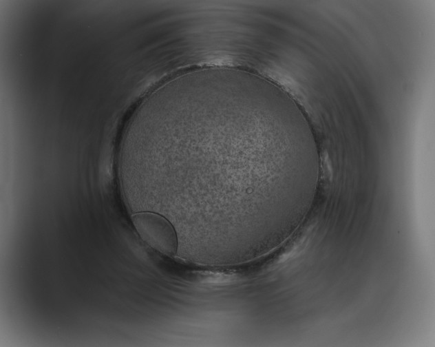 X0000089340347200706291006