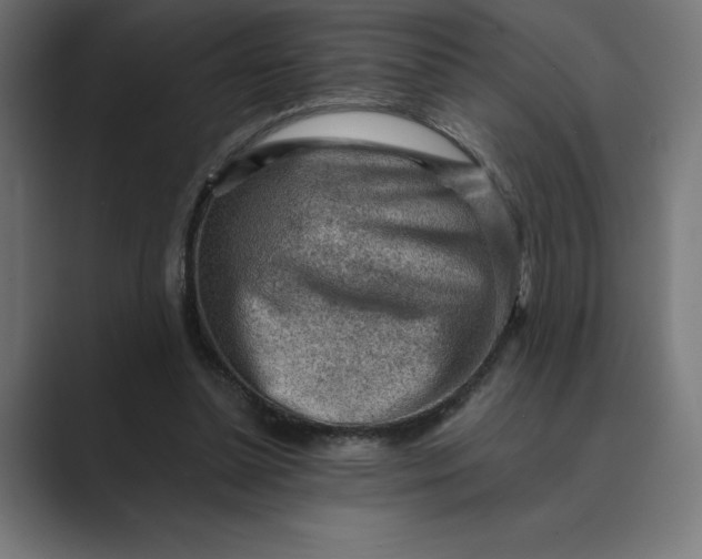 X0000089340348200706291006