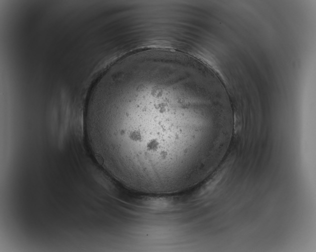 X0000089340349200706291006