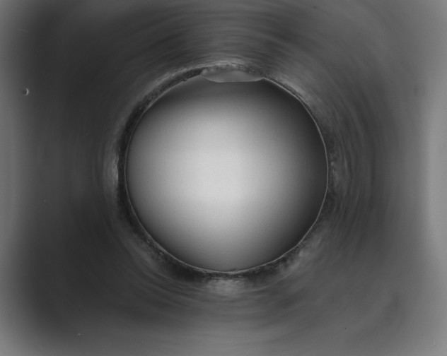 X0000089340350200706291006