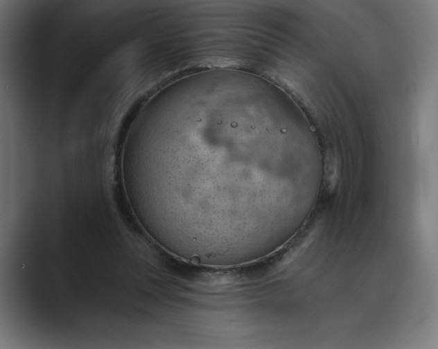 X0000089340351200706291006