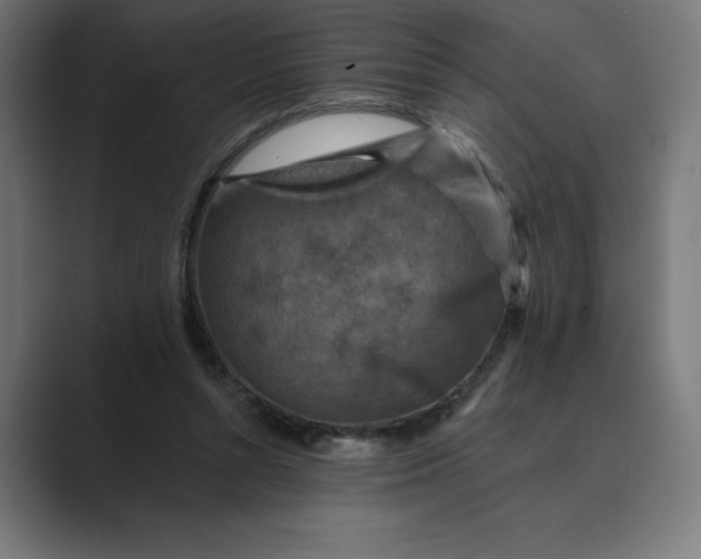 X0000089340352200706291006