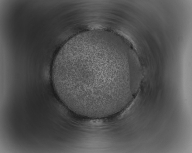 X0000089340353200706291006