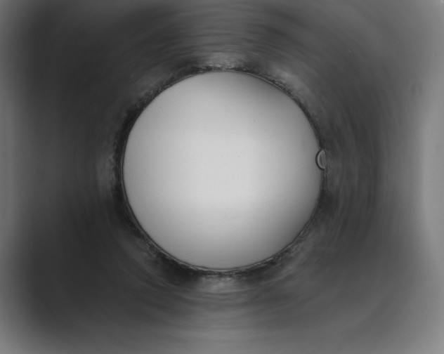 X0000089340354200706291006