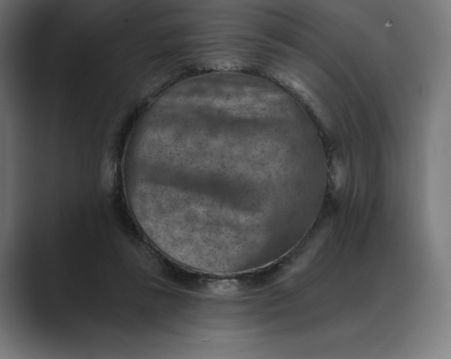 X0000089340355200706291006