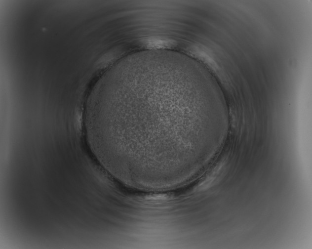 X0000089340357200706291006