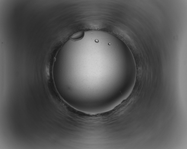 X0000089340358200706291006