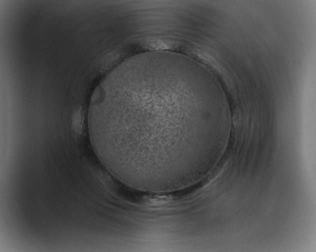 X0000089340359200706291006
