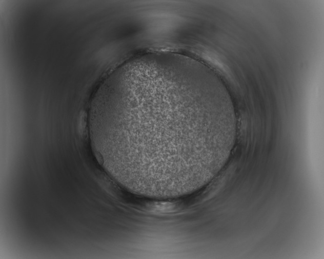 X0000089340361200706291006