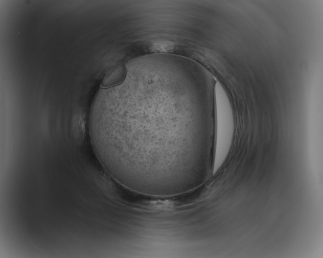 X0000089340363200706291006